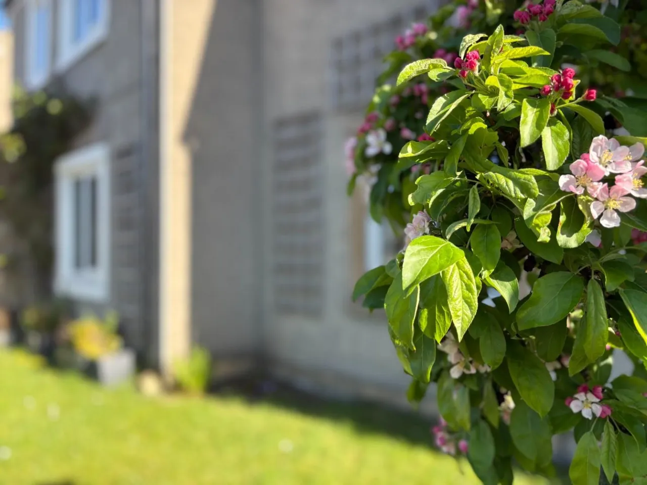 Walton Close, Gargrave, BD23, photo 8