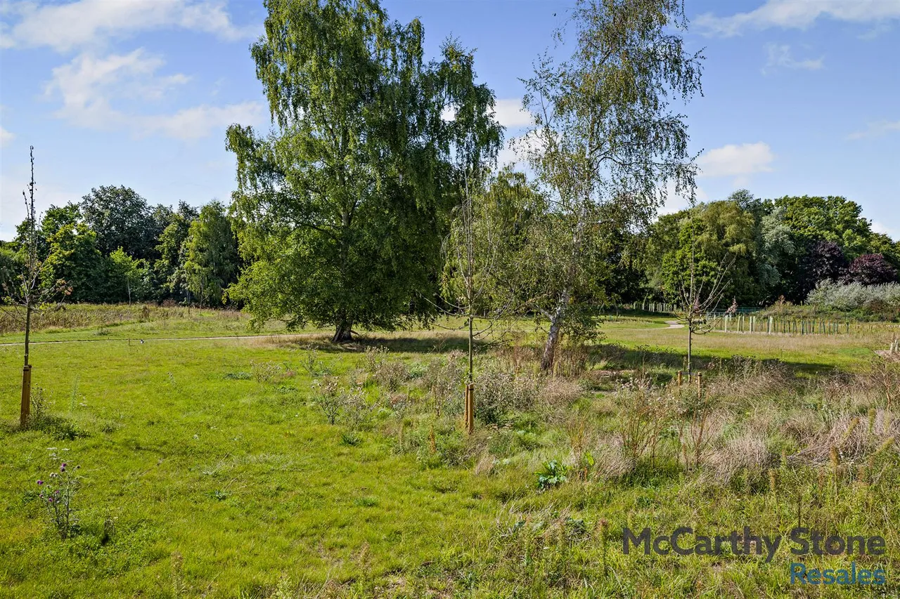 Bluebell Road, Eaton, NR4, photo 28