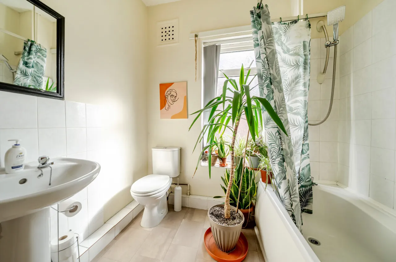 Eyres Terrace, Leeds, LS12, photo 11