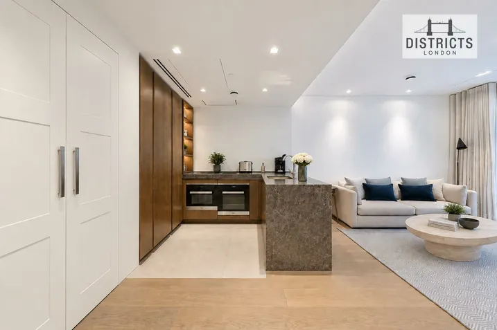 Lincoln Sq, 18 Portugal Street, WC2A, photo 2