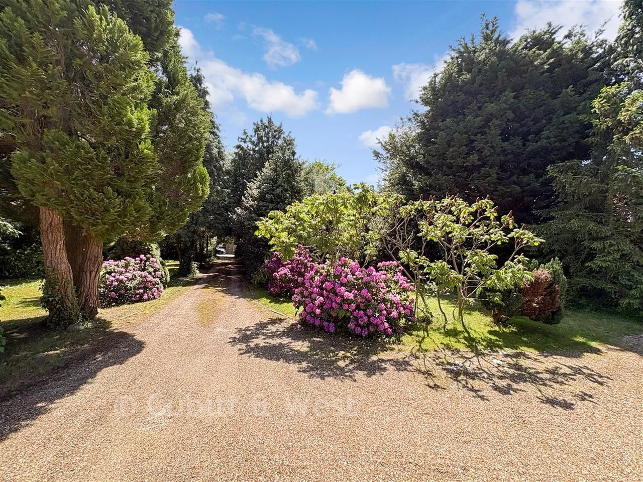 Horley Row, Horley, RH6, photo 23