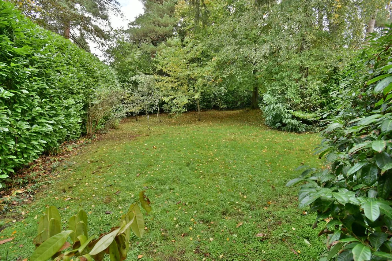 Dudsbury Avenue, BH22, photo 5