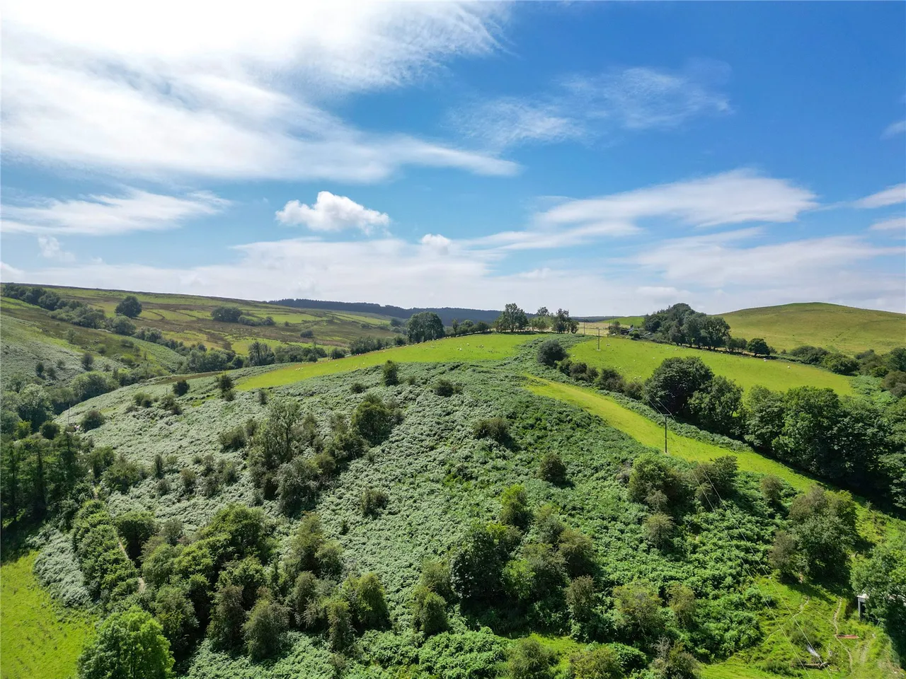 Foel, Welshpool, Powys, SY21 0PB, photo 22