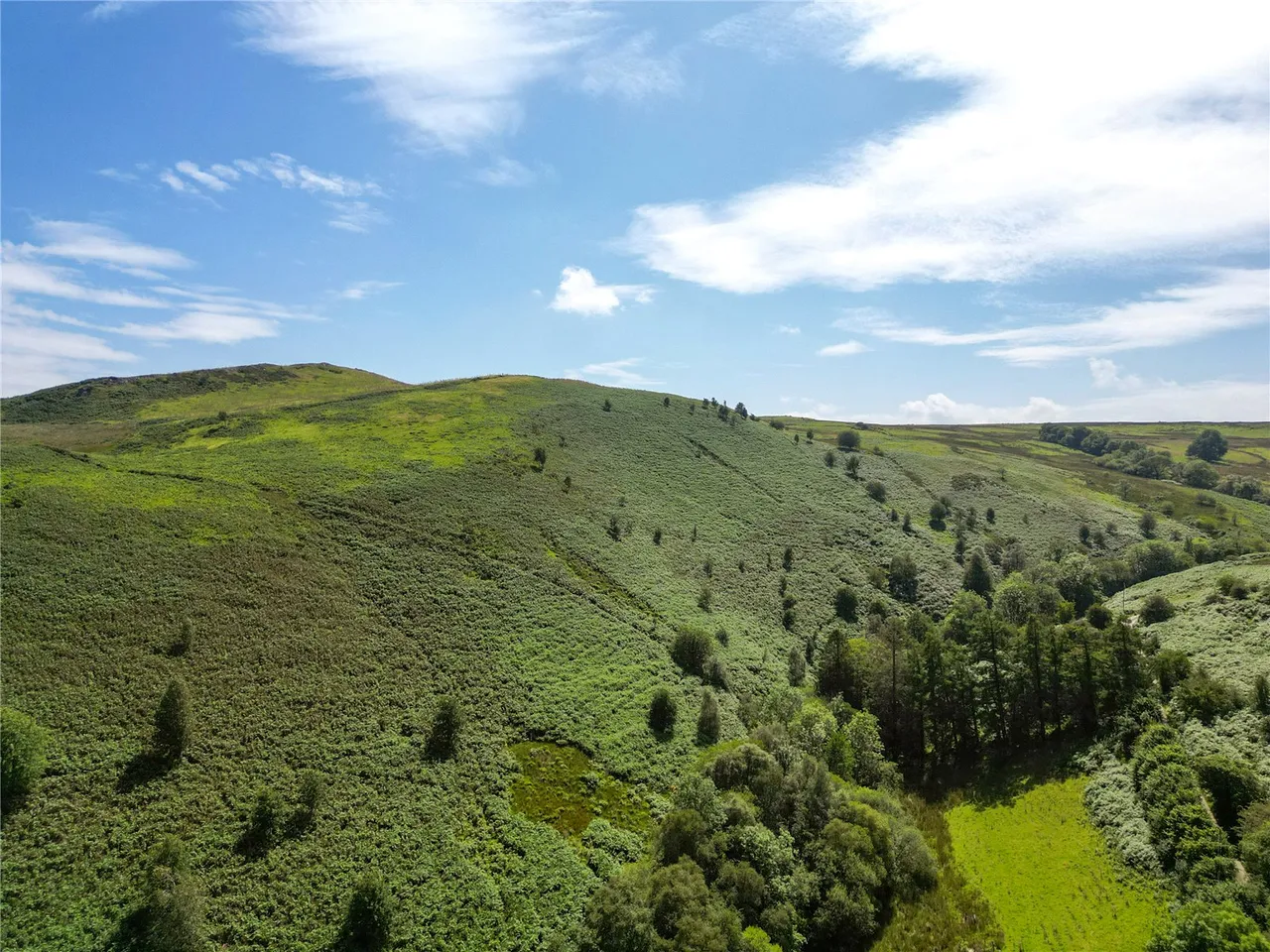 Foel, Welshpool, Powys, SY21 0PB, photo 23