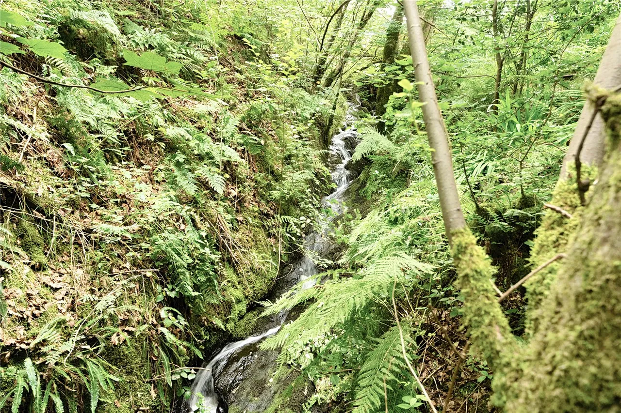 Foel, Welshpool, Powys, SY21 0PB, photo 37
