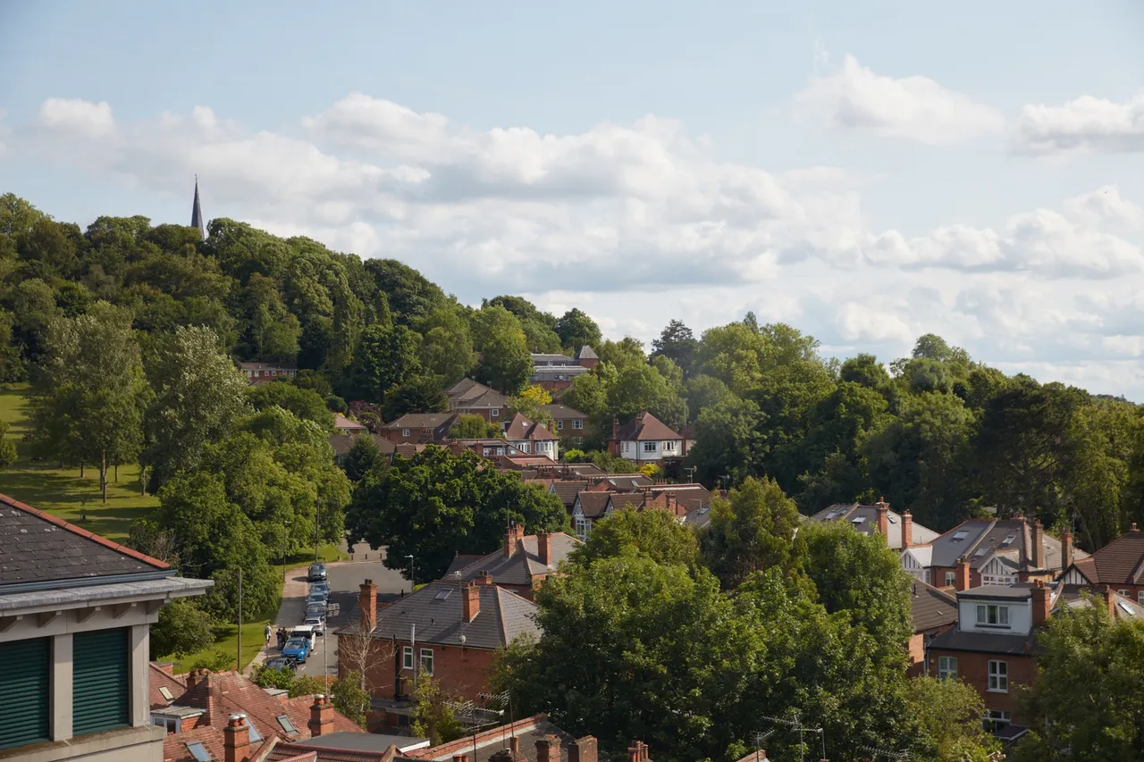 Dandi on the Hill, Harrow, HA1, photo 9