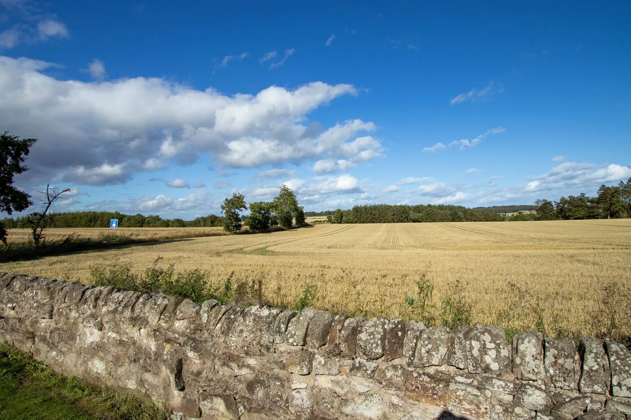 Mains of Letham Cottages, St Vigeans, Arbroath, DD11 4RF, photo 25