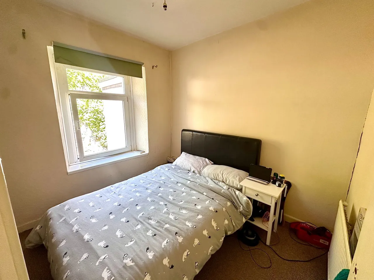 Watkin Street, Swansea, SA1 6YE, photo 12