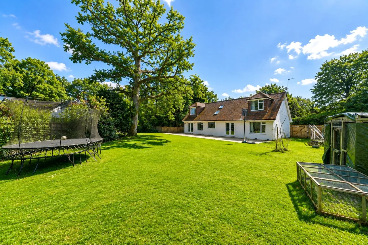 Durfold Wood, Plaistow, RH14, photo 2