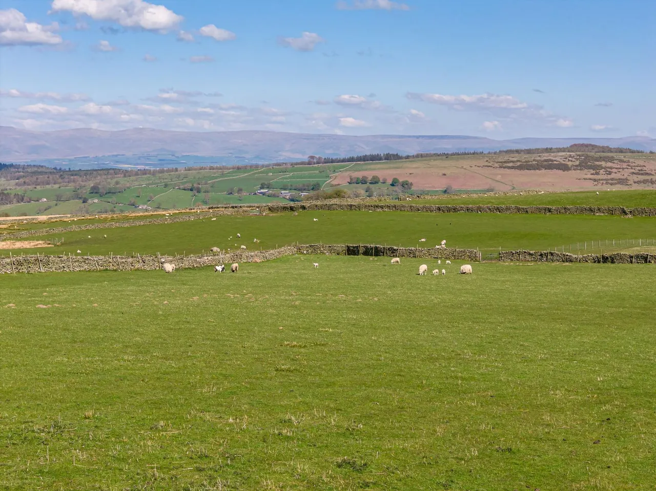 Lower Carhullan, Askham, CA10, photo 50
