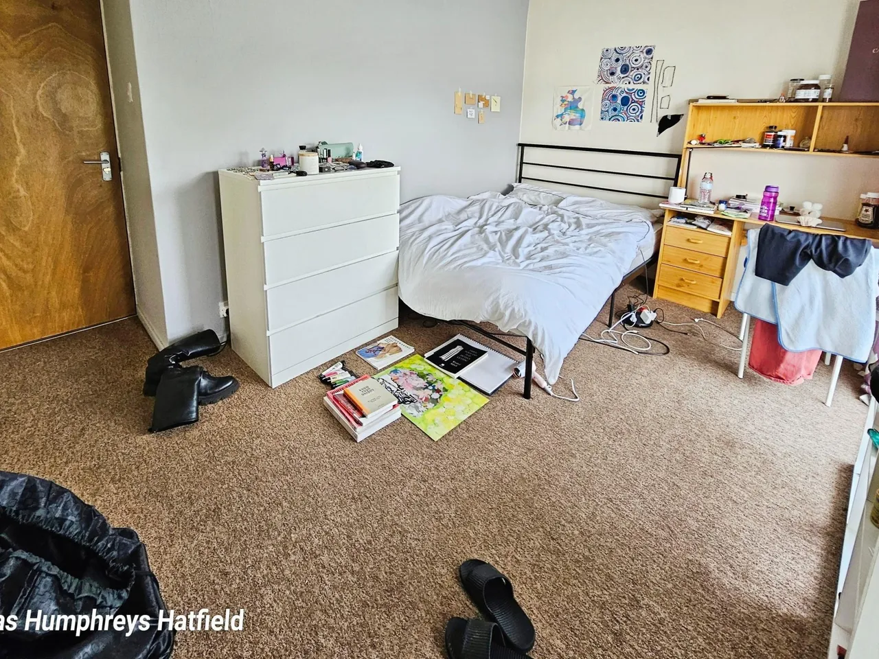 Coney Close, Hatfield, AL10, photo 3