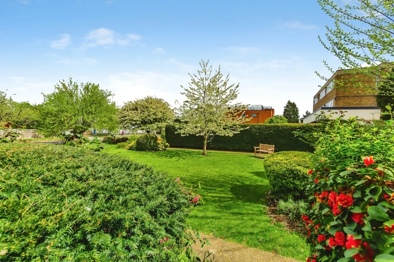 Wickham Road, Croydon, CR0, photo 11