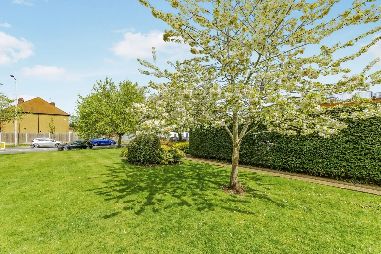 Wickham Road, Croydon, CR0, photo 10
