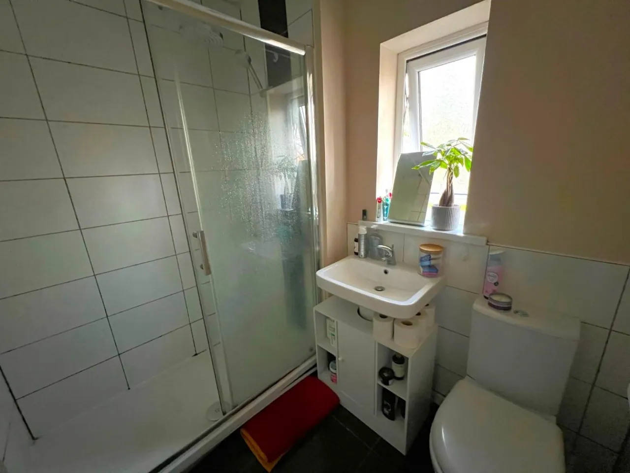 Mincinglake Road, Exeter, EX4, photo 6