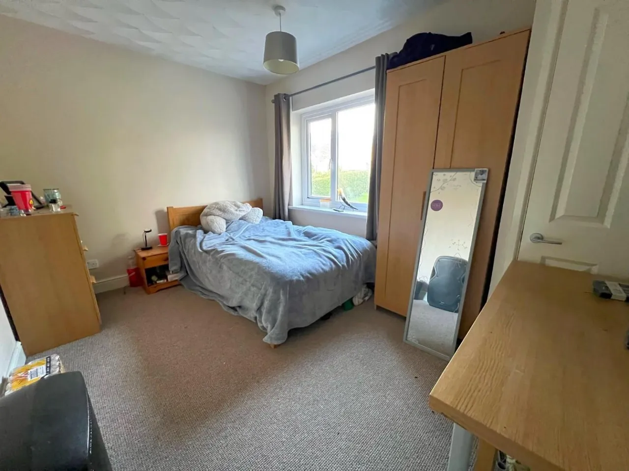Mincinglake Road, Exeter, EX4, photo 5