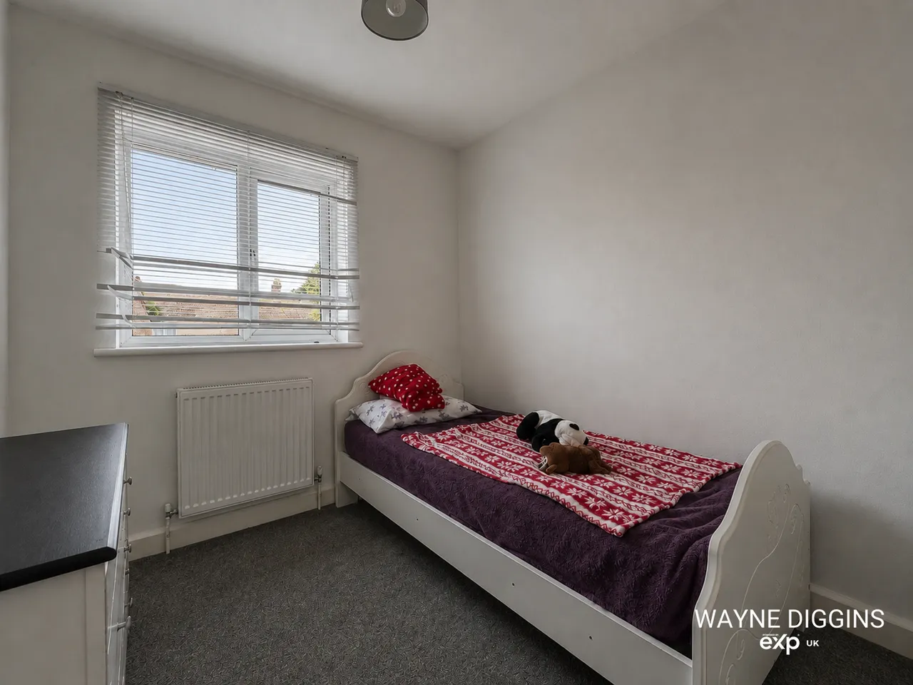 Ruskin Avenue, Southend-on-Sea, SS2 5HB, photo 12