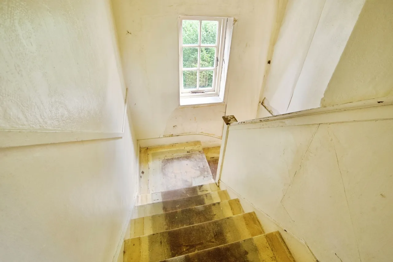 Gospatrick Road, London, N17, photo 15