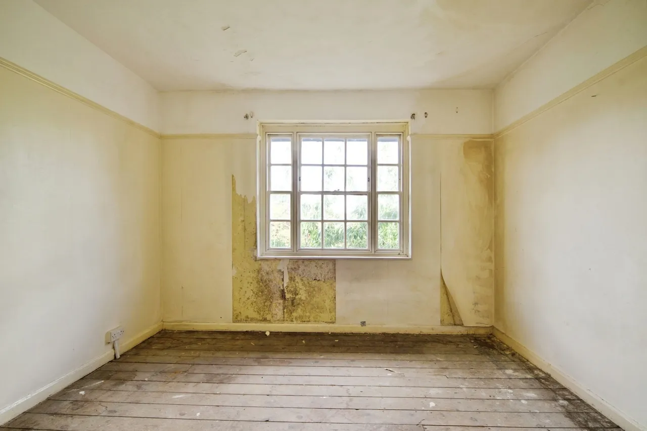 Gospatrick Road, London, N17, photo 21