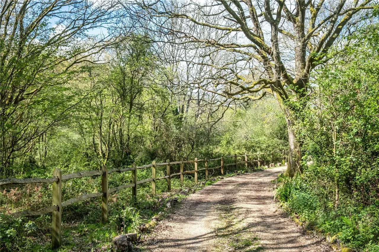 River Common, Petworth, GU28, photo 12