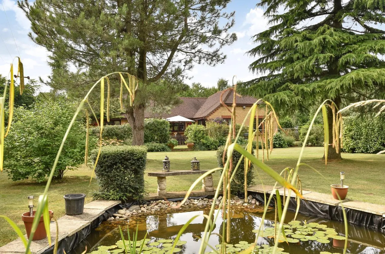 Idyllic Retreat With Land. Ravensdane Wood, Charing, photo 23