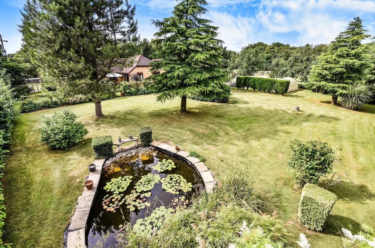 Idyllic Retreat With Land. Ravensdane Wood, Charing, photo 21
