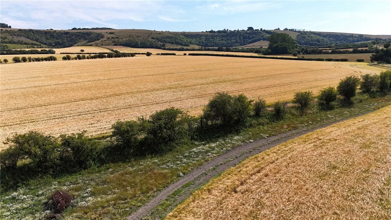 Lot 1 Land At West End Farm, West End, Ebbesbourne Wake, Wiltshire, SP5 5JX, photo 10