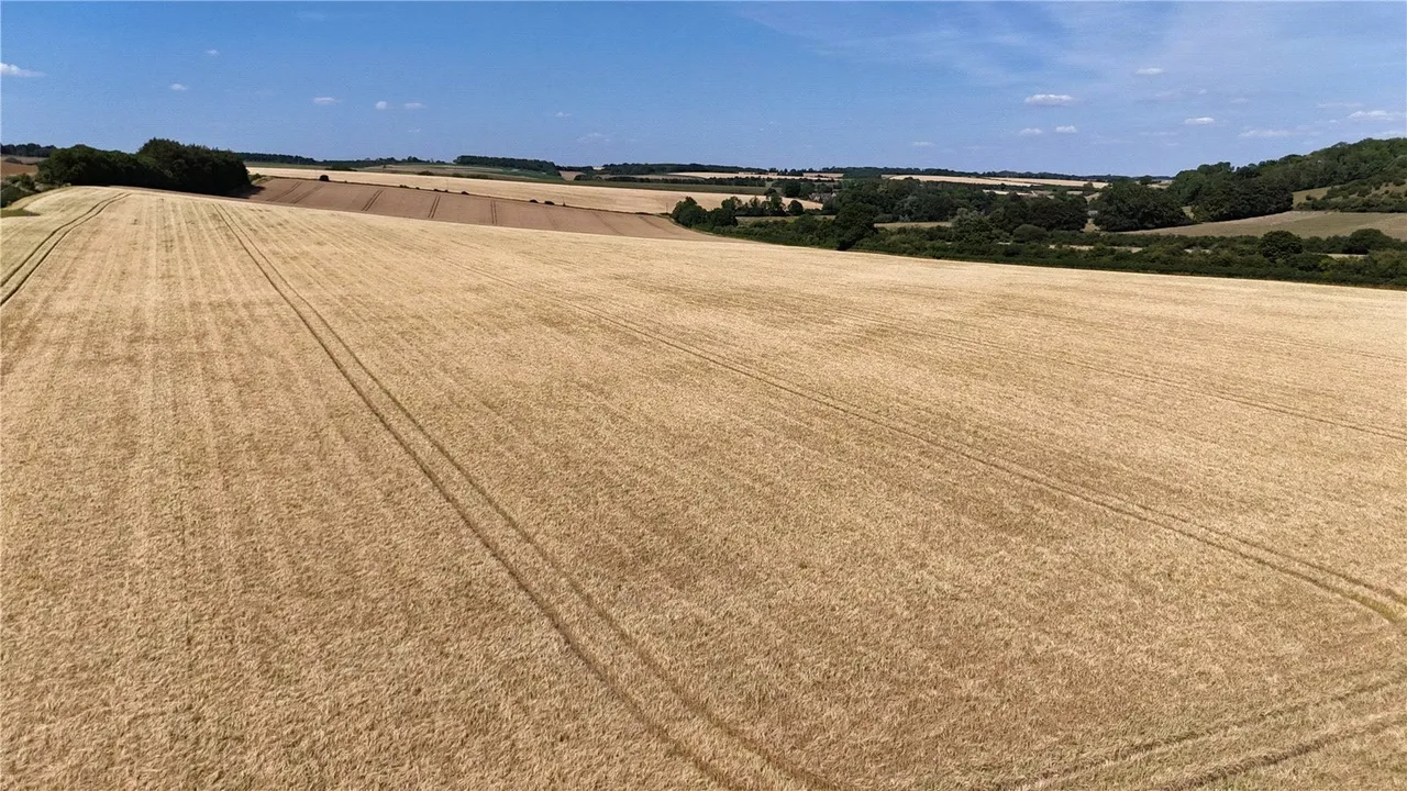 Lot 1 Land At West End Farm, West End, Ebbesbourne Wake, Wiltshire, SP5 5JX, photo 4