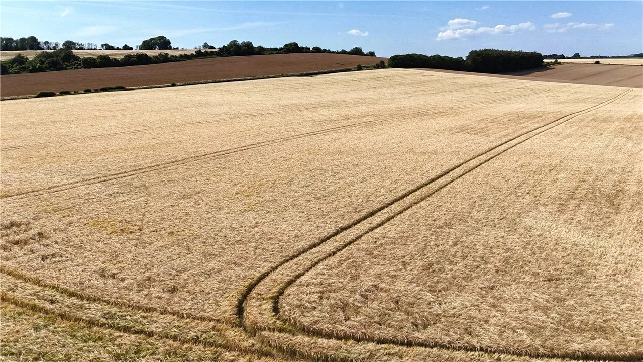 Lot 1 Land At West End Farm, West End, Ebbesbourne Wake, Wiltshire, SP5 5JX, photo 9