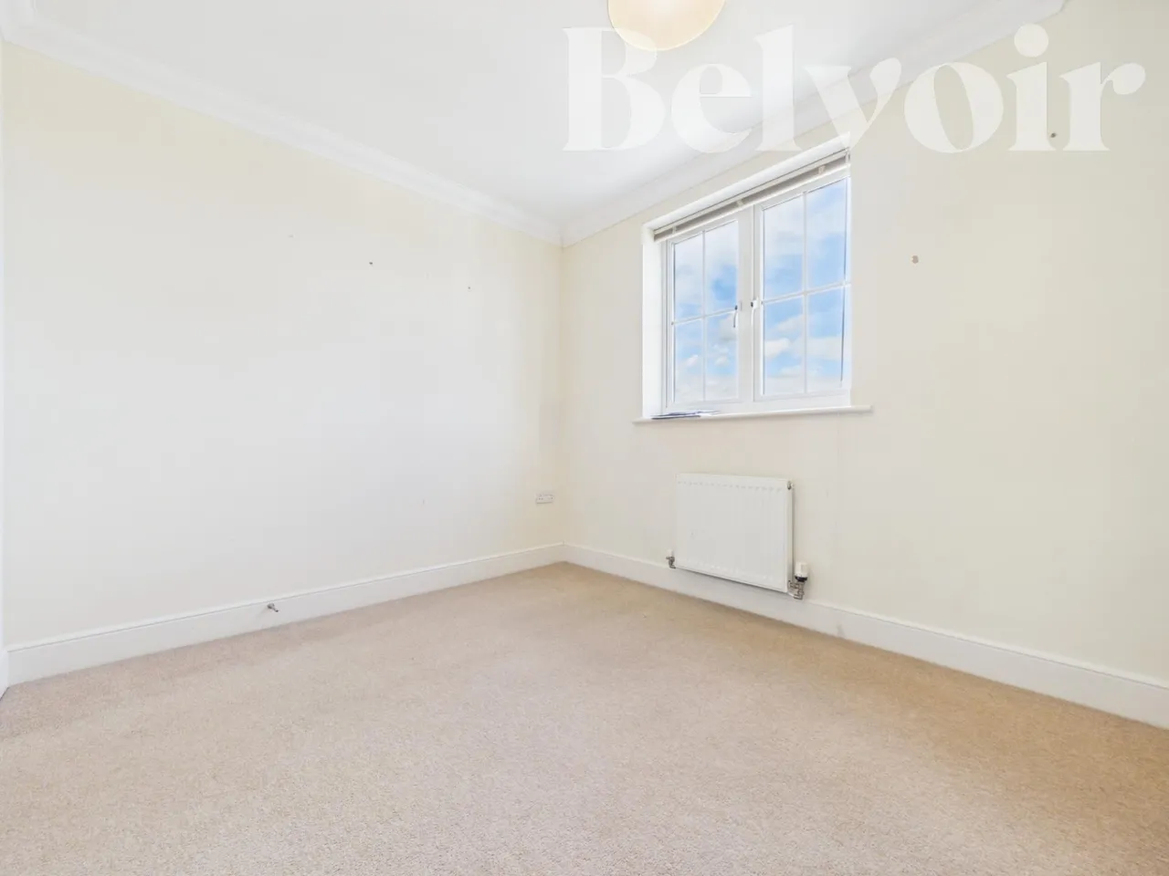 Richards Field, Chineham, Basingstoke, RG24, photo 8
