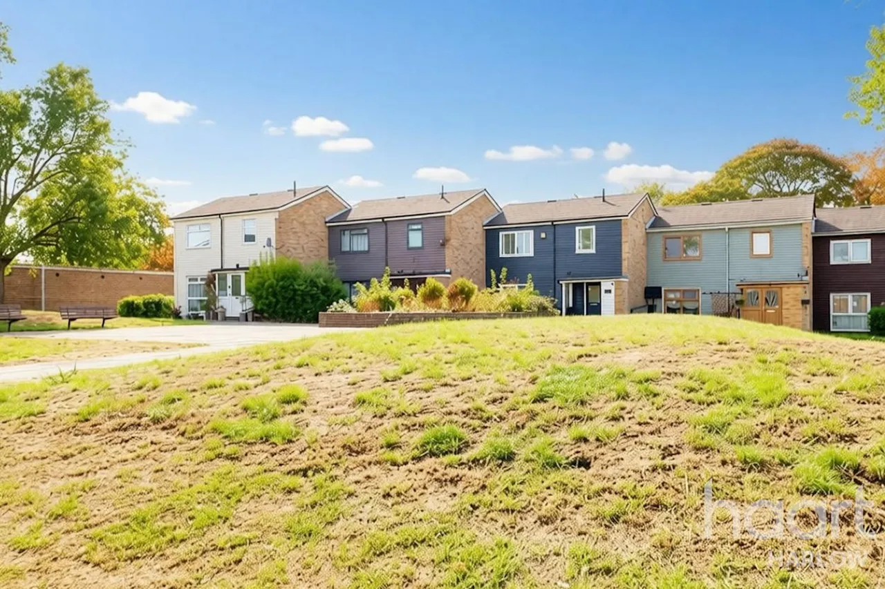 The Maples, Harlow, CM19, photo 20