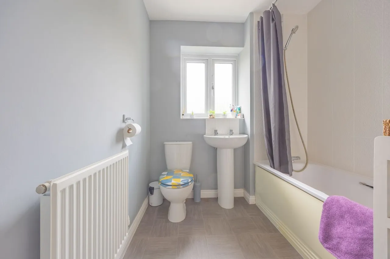 Dragon Rise, Norton Fitzwarren, TA2, photo 11