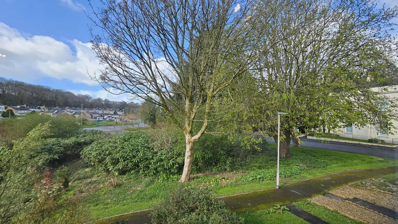 Paynter Walk, Plymouth, PL7, photo 2