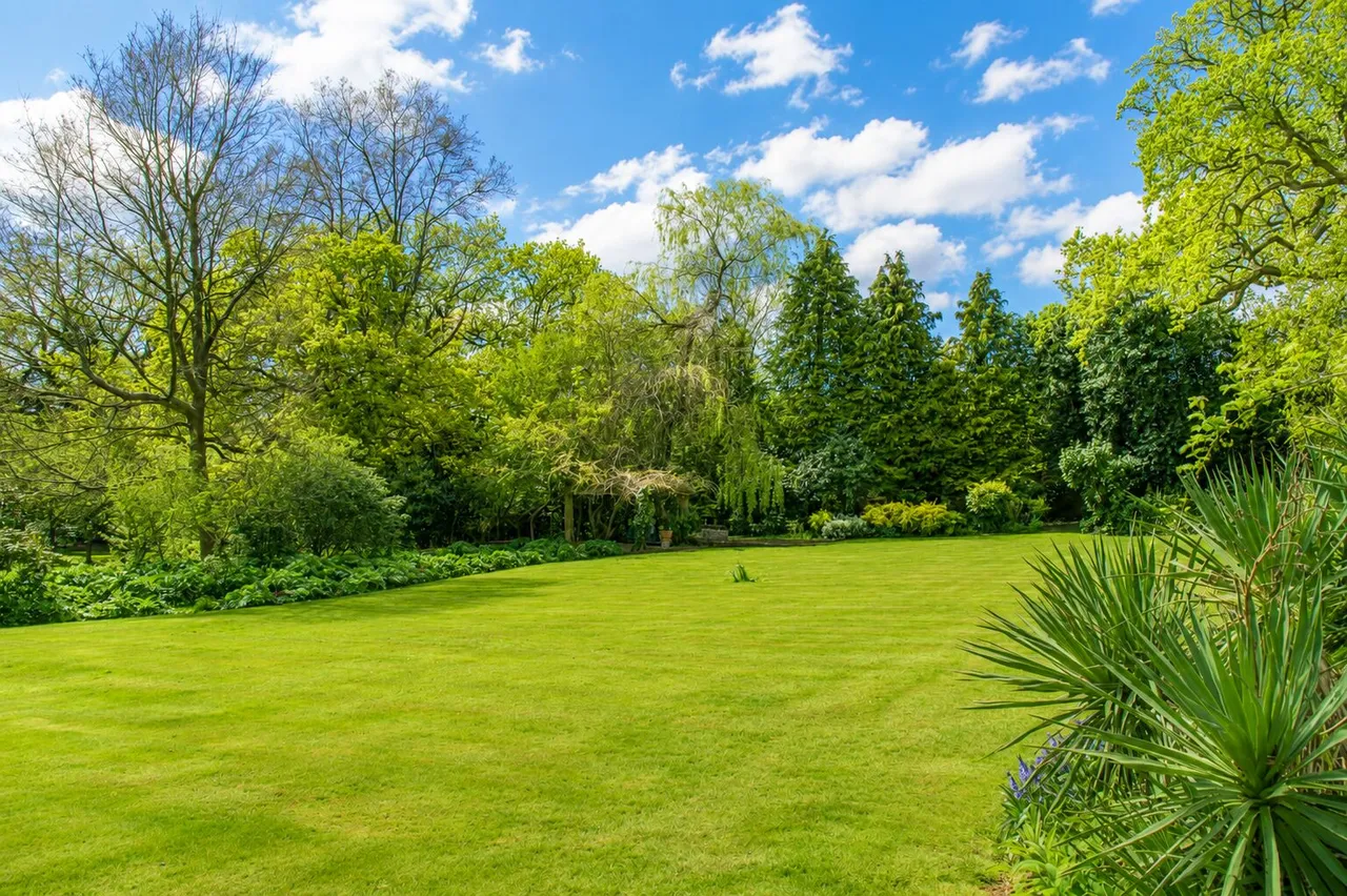 Barnet Lane, Elstree, WD6, photo 24