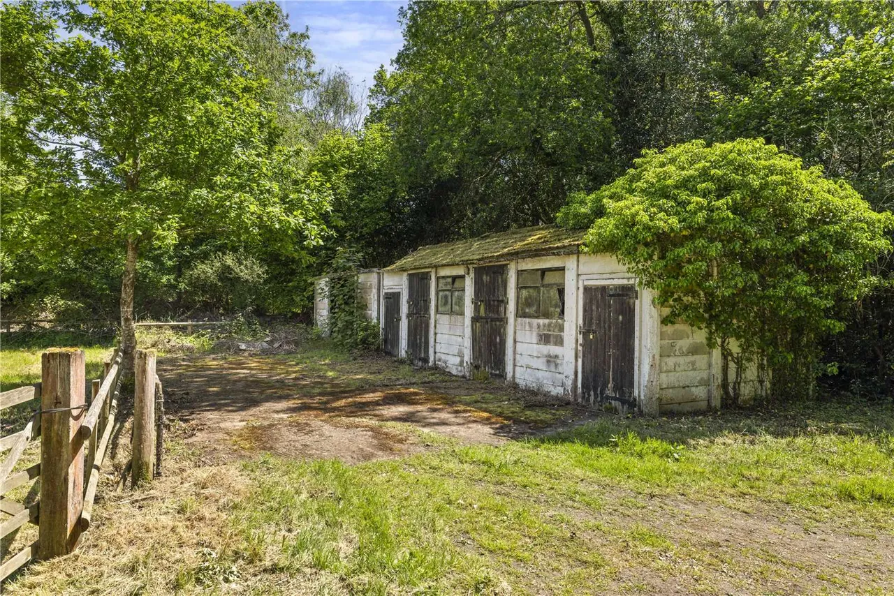 Sandpit Hall Road, Chobham, GU24, photo 22