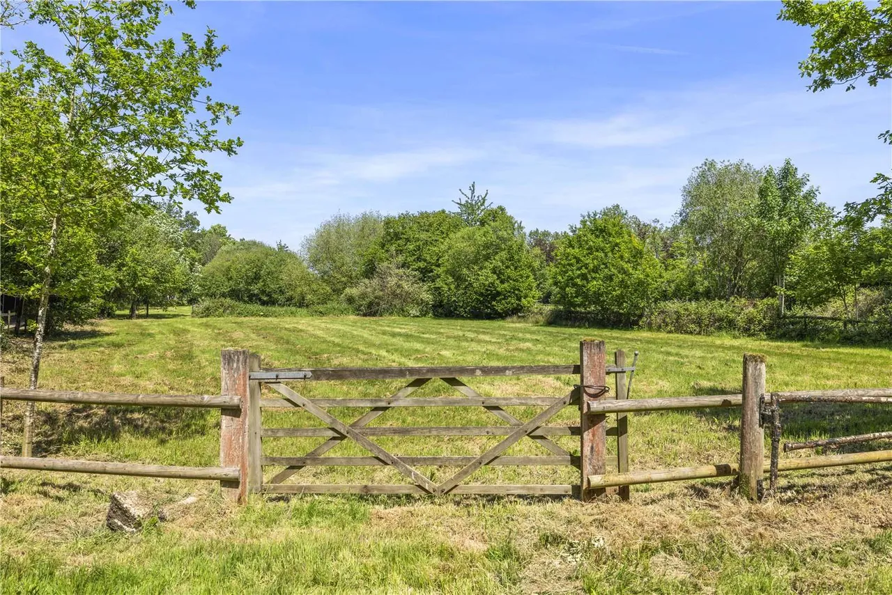 Sandpit Hall Road, Chobham, GU24, photo 21