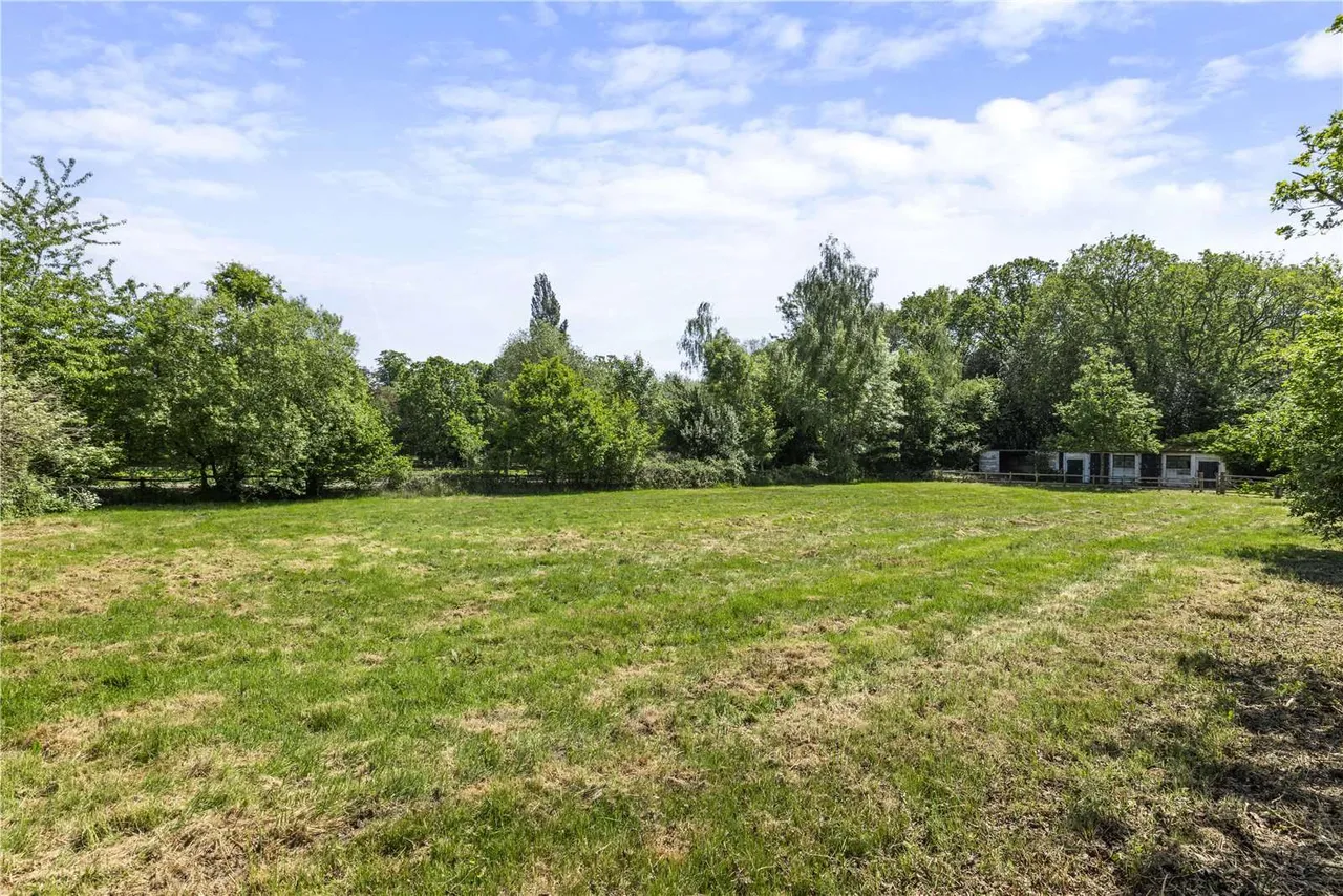 Sandpit Hall Road, Chobham, GU24, photo 20