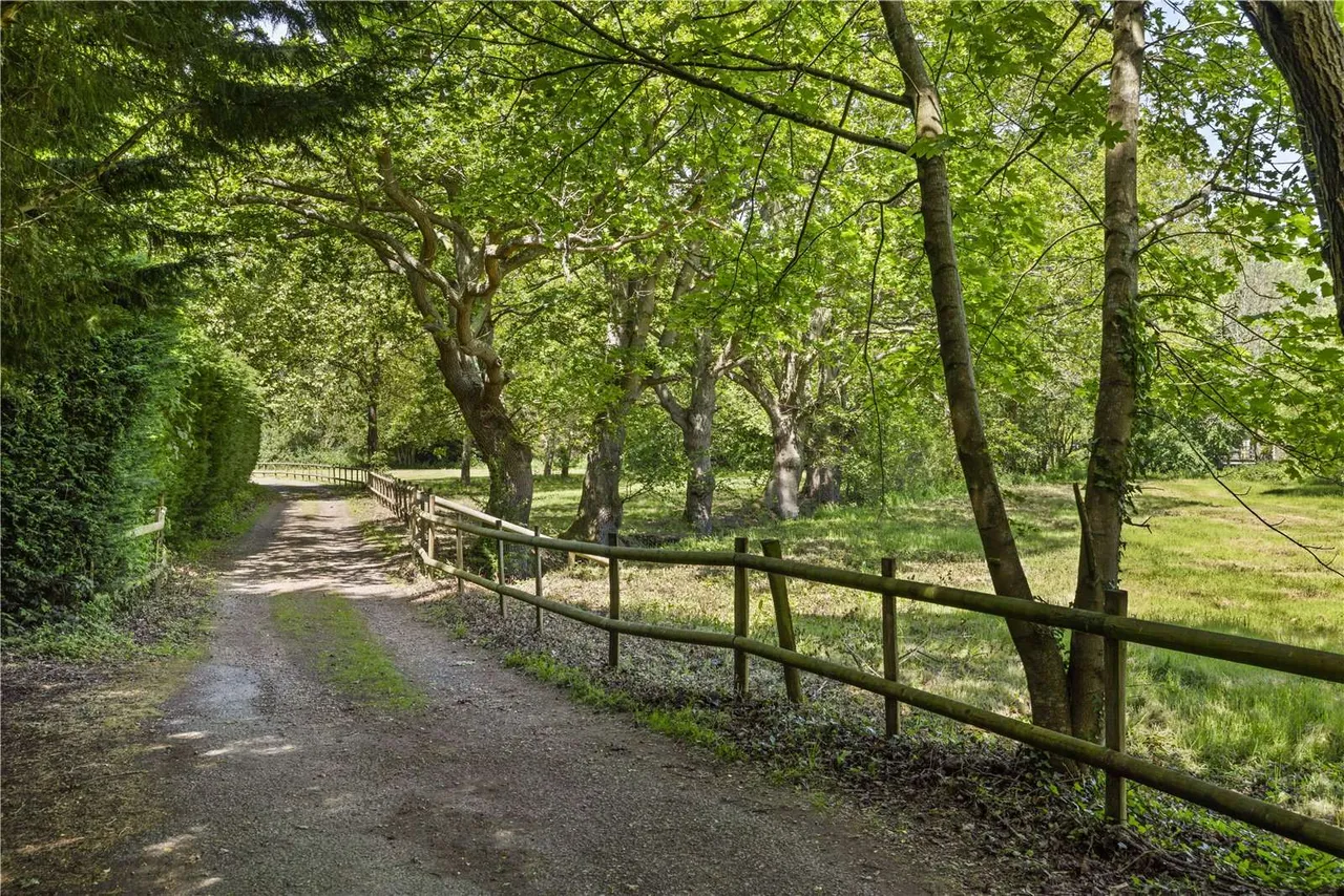 Sandpit Hall Road, Chobham, GU24, photo 19