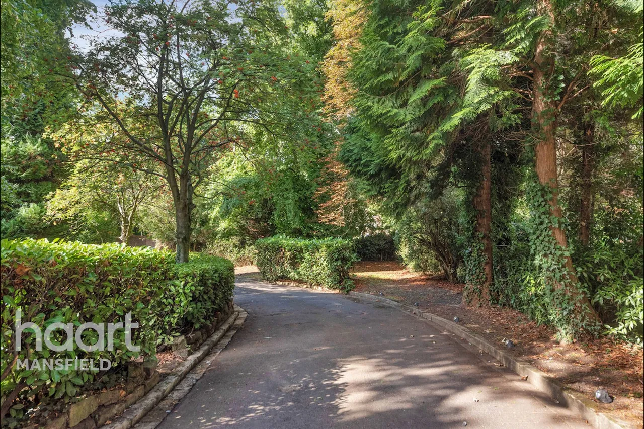 Norfolk Drive, Mansfield, NG19, photo 10