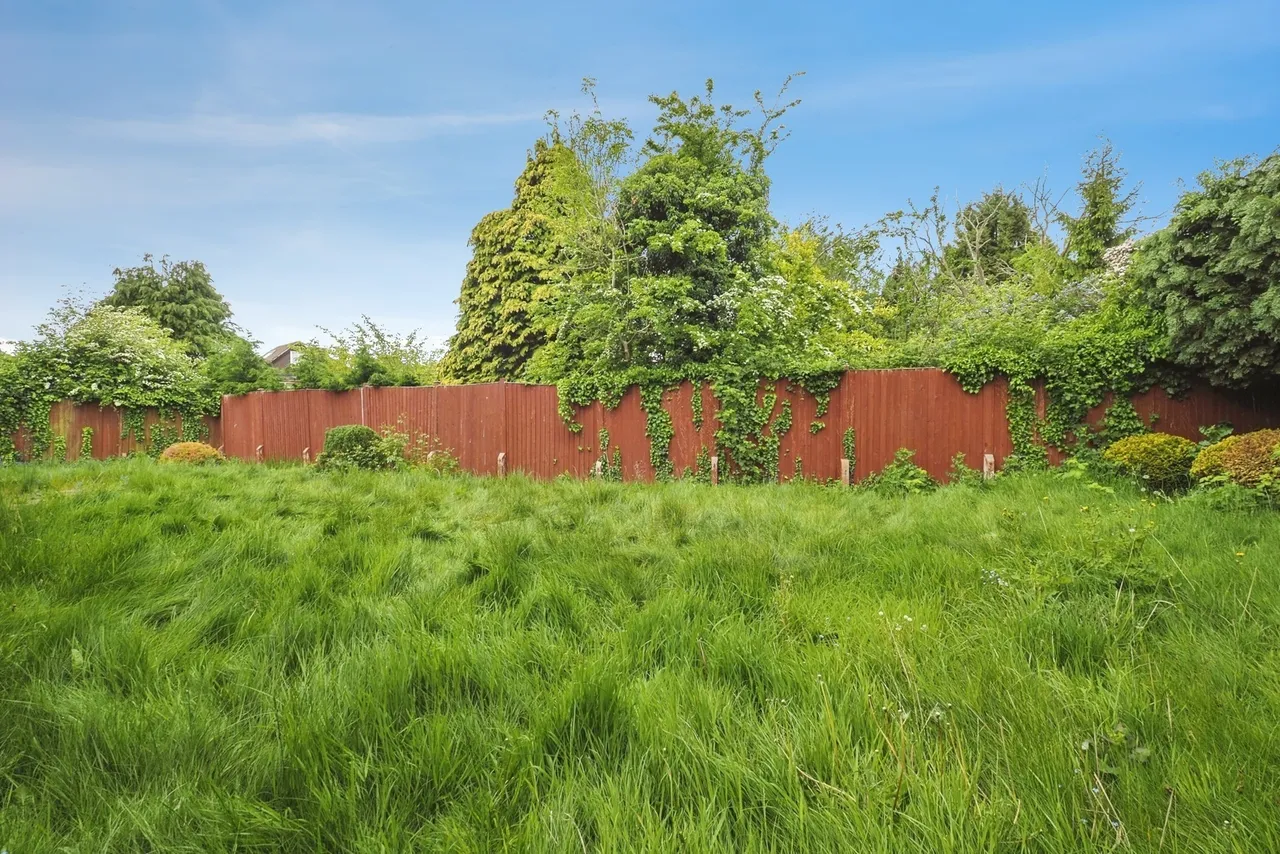 Deer Park, Wollaton, Nottingham, NG8, photo 15