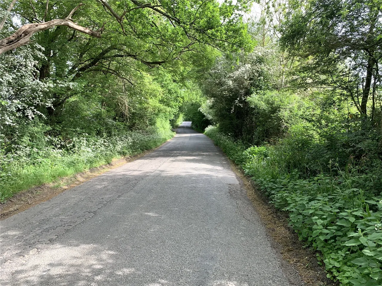 West Chiltington Lane, Coneyhurst, RH14, photo 8