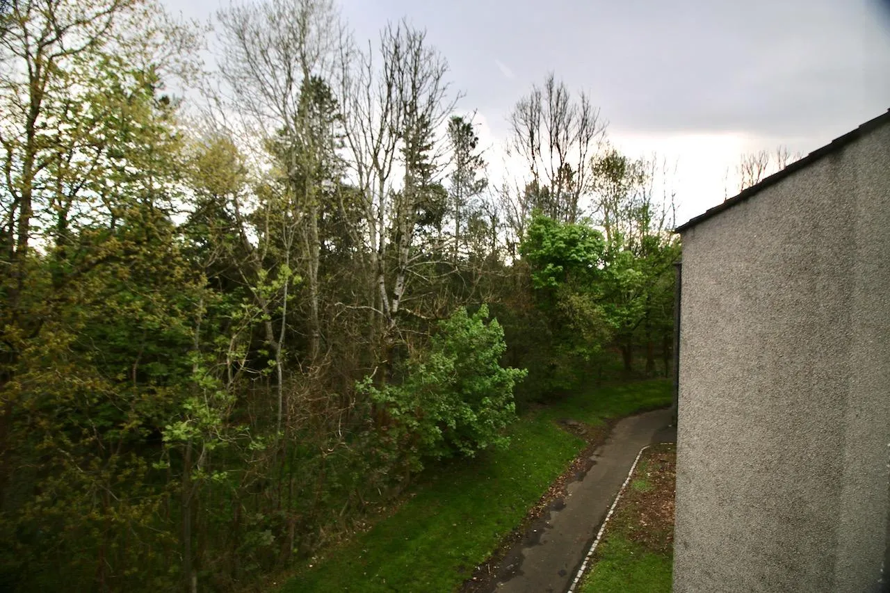 Hazel Road, Abronhill, Cumbernauld, G67 3BS, photo 16