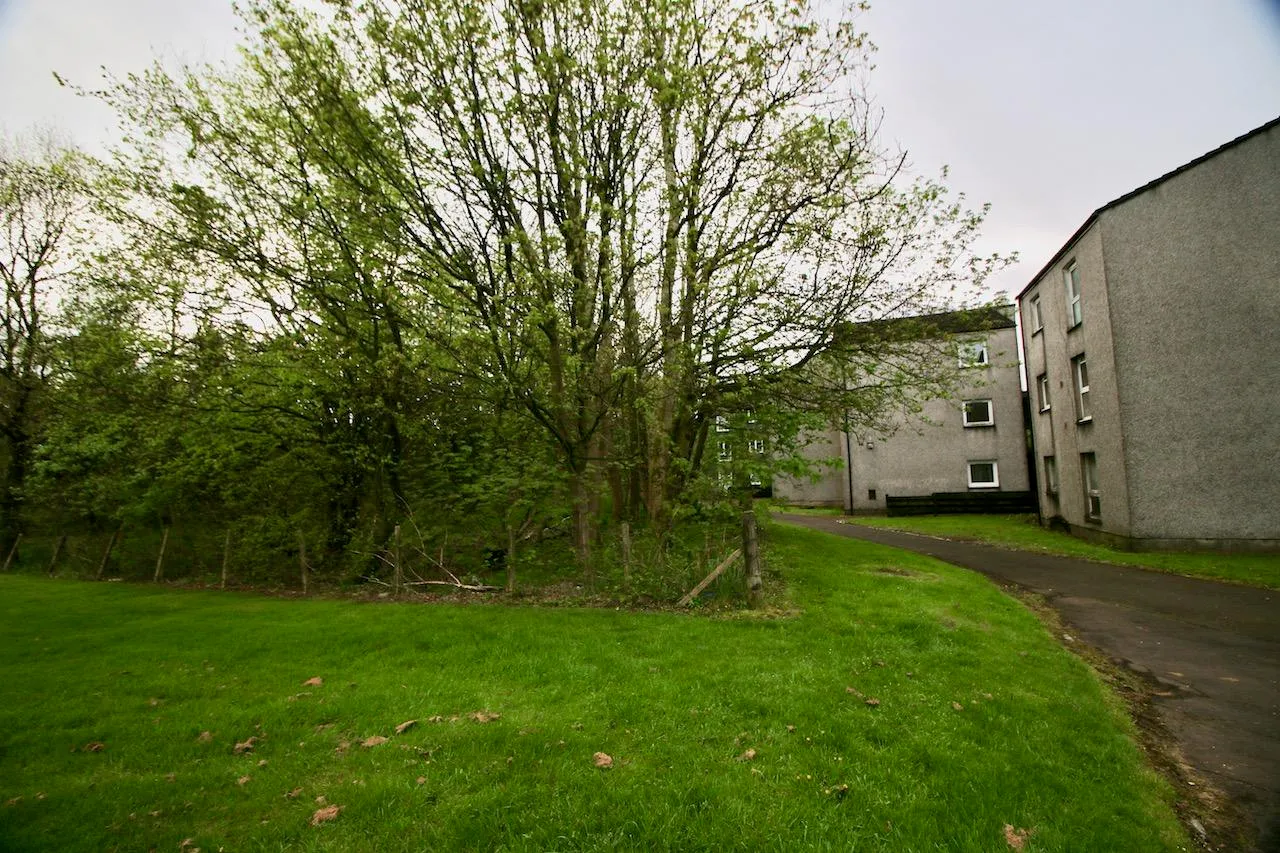 Hazel Road, Abronhill, Cumbernauld, G67 3BS, photo 17