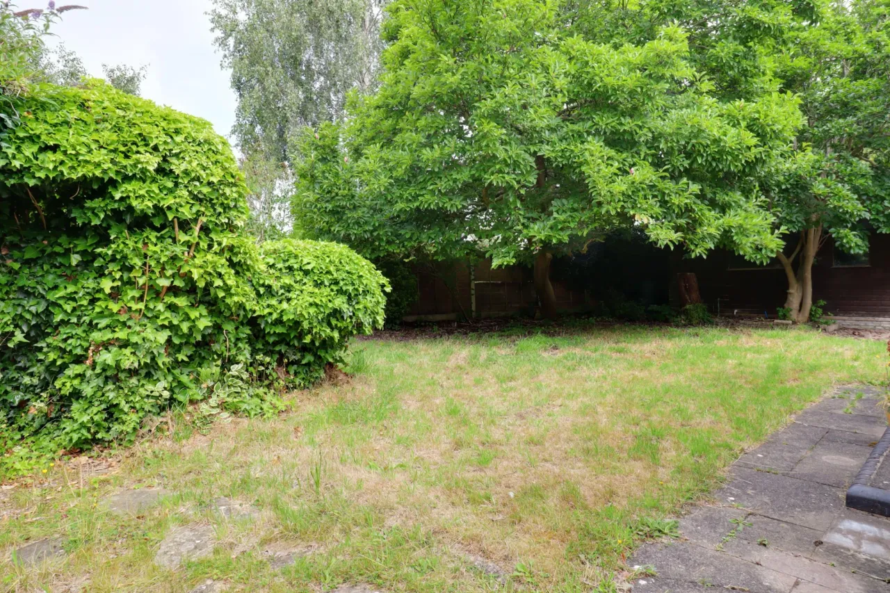 Springfield Drive, Crewe, photo 21