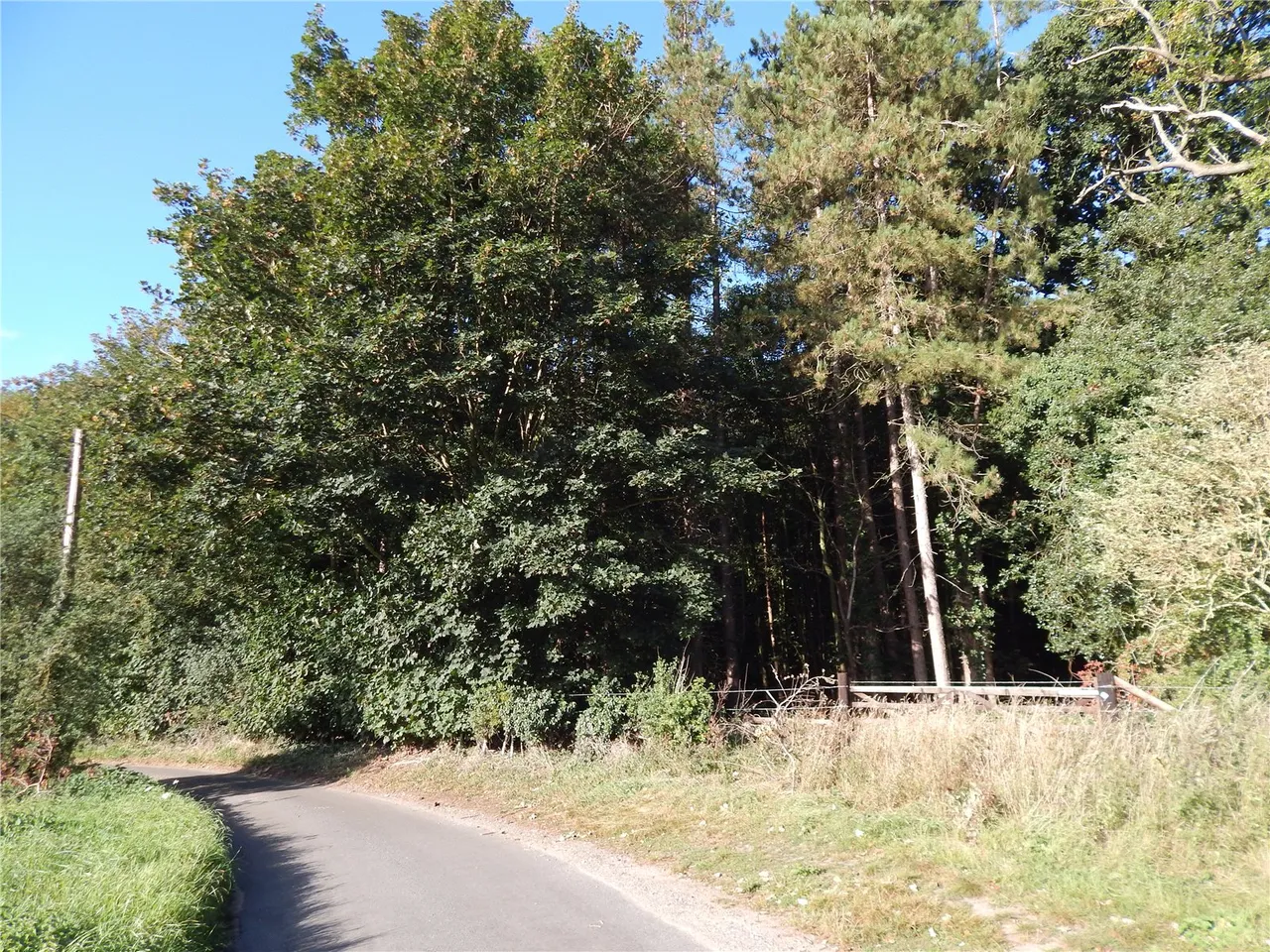 Sunnyside, Bergh Apton, Norwich, Norfolk, NR15 1BT, photo 2