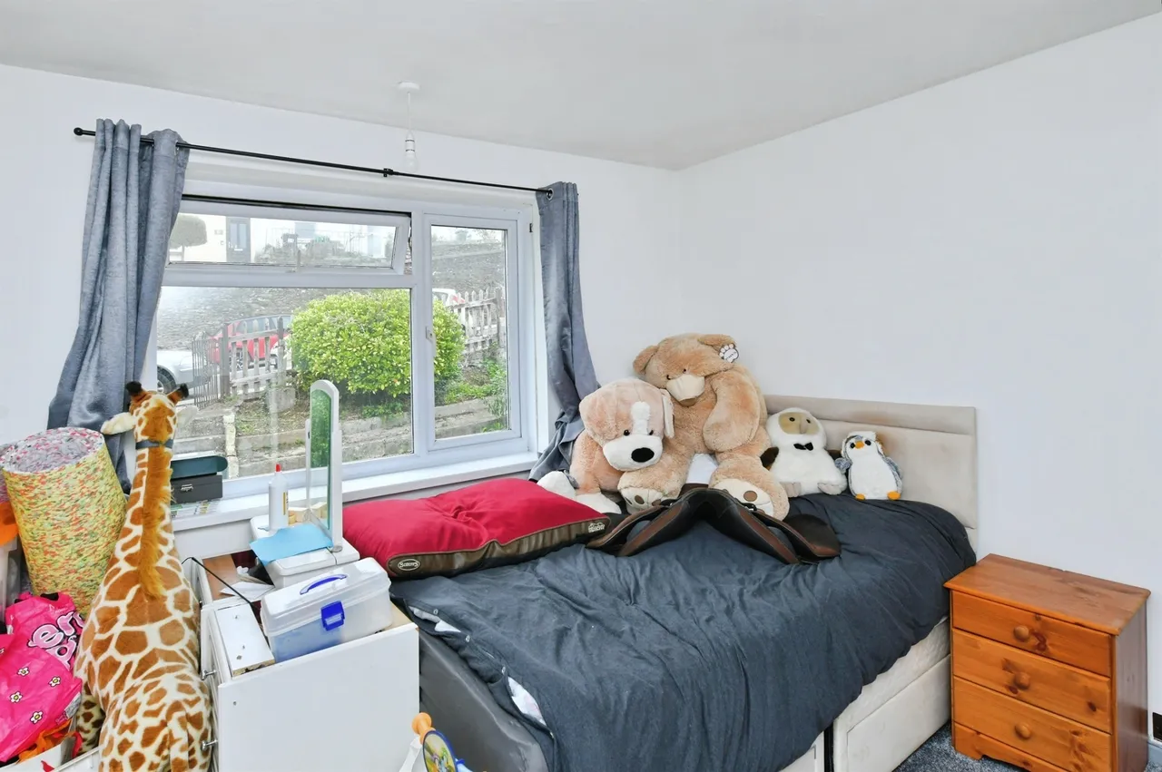 Efford Lane, Plymouth, photo 9