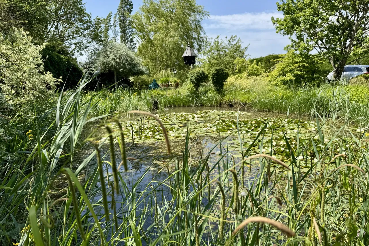 Carlton Green, Carlton, photo 18