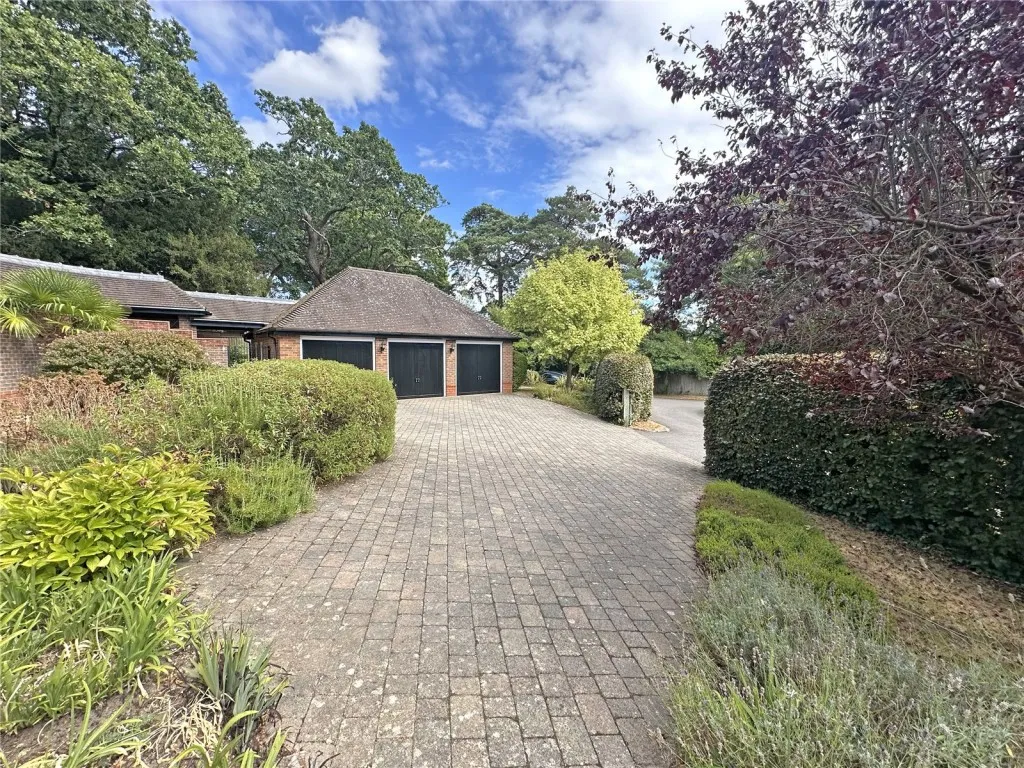 Brockenhurst, Hampshire, photo 26