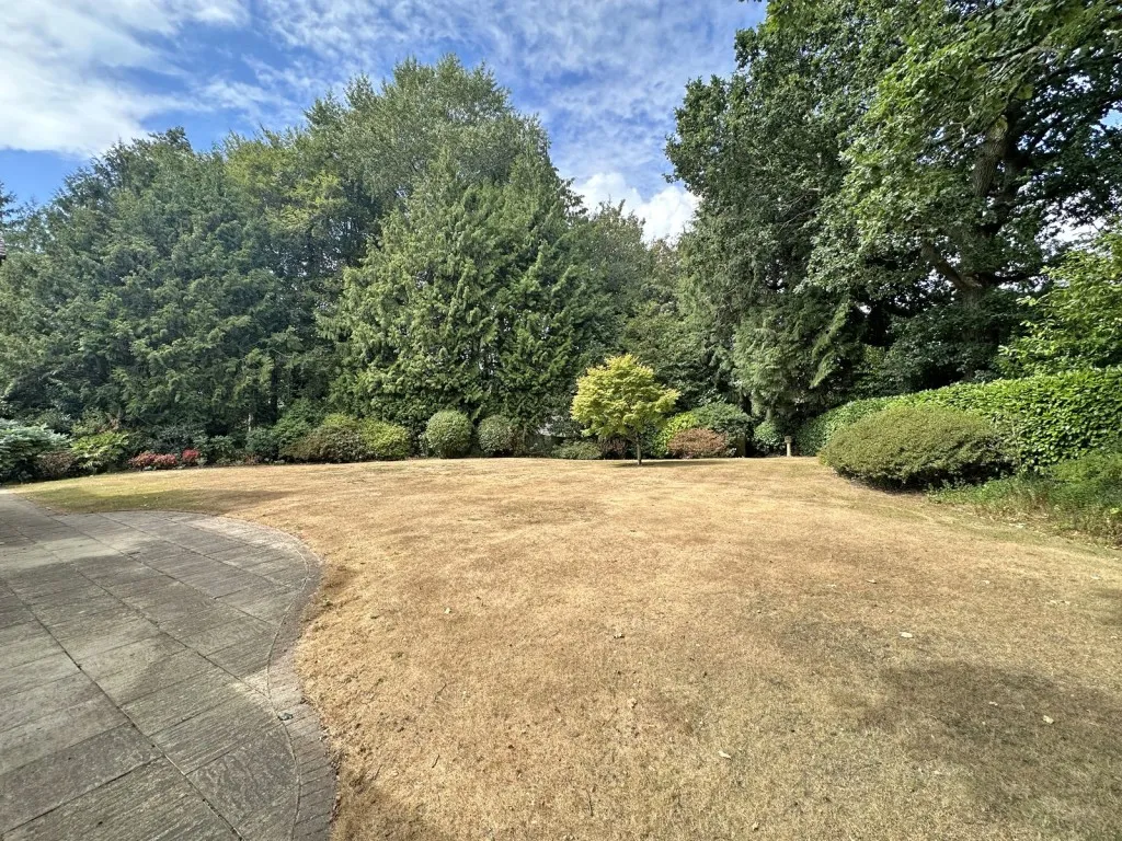 Brockenhurst, Hampshire, photo 20