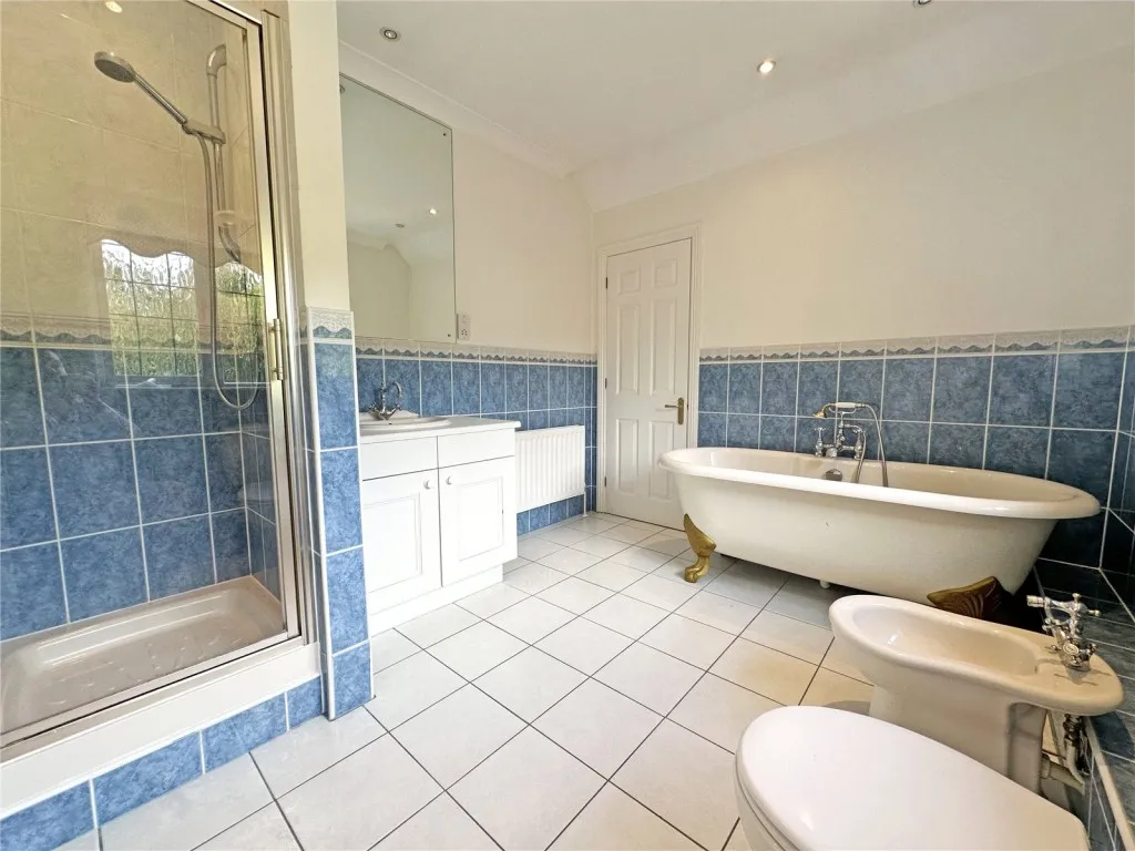 Brockenhurst, Hampshire, photo 15