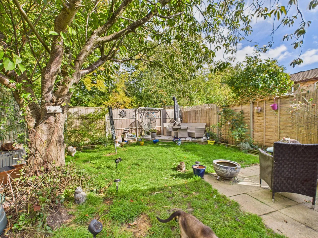Cyprus Road, Hatch Warren, Basingstoke, RG22, photo 10